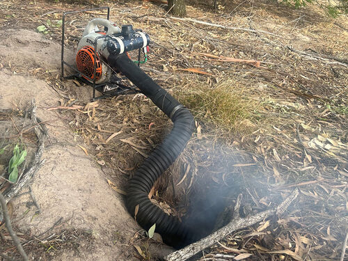 Fumigation - RabbitBusters Ballarat