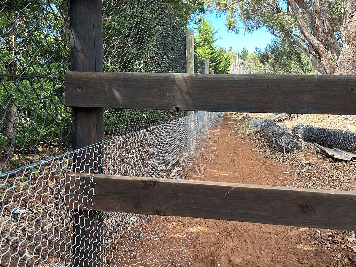 Rabbit Proof Fencing - RabbitBusters Ballarat