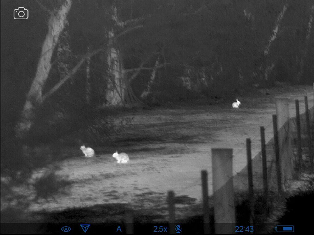 Thermal Imaging - RabbitBusters Ballarat 