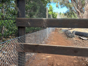 Rabbit Proof Fencing