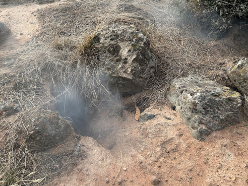 Fumigation and Warren Destruction - RabbitBusters Ballarat