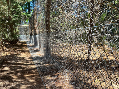 Rabbit Proof Fencing - RabbitBusters Ballarat