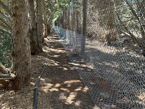 Rabbit Proof Fencing - RabbitBusters Ballarat